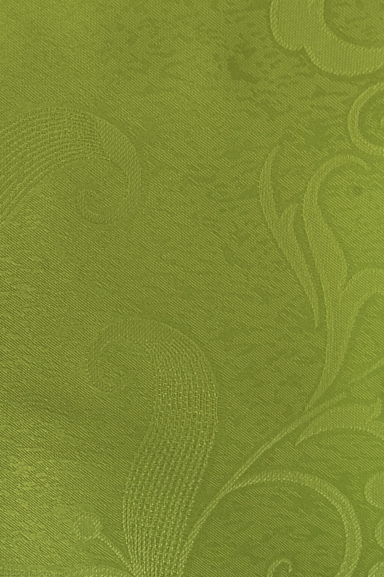 Monzon Verde Vivo